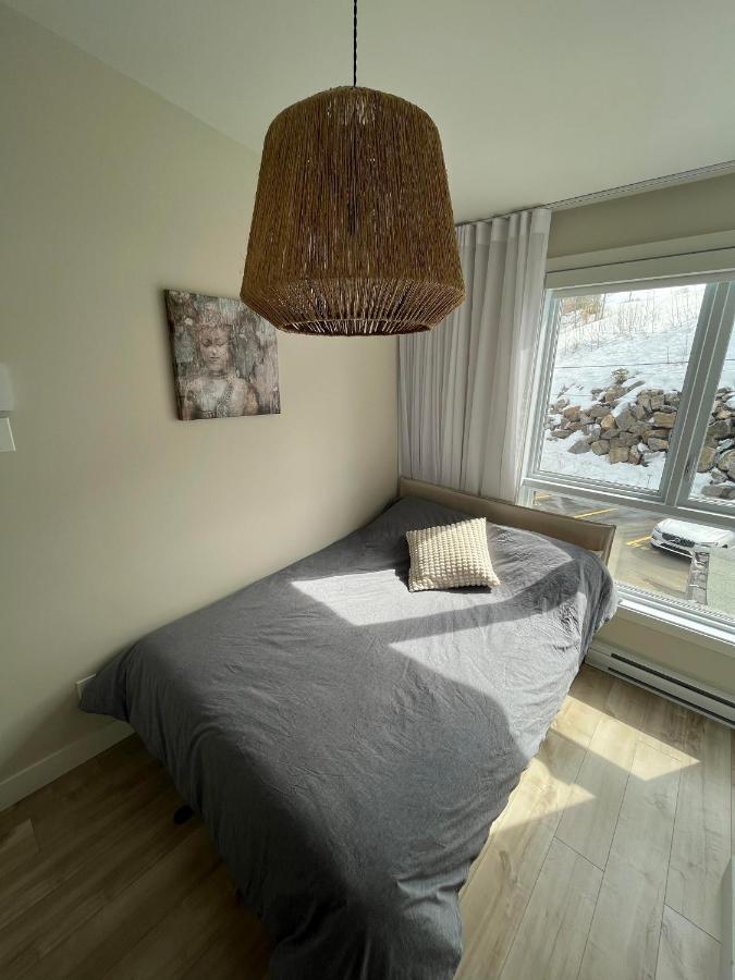 Le Riverain - Condo Neuf Au Bord De L'Eau Shawinigan Exterior foto