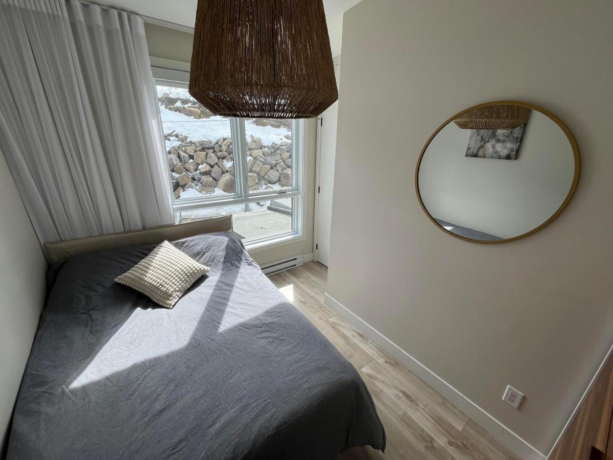Le Riverain - Condo Neuf Au Bord De L'Eau Shawinigan Exterior foto